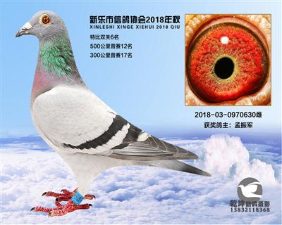 500公里12名与冠军同父母