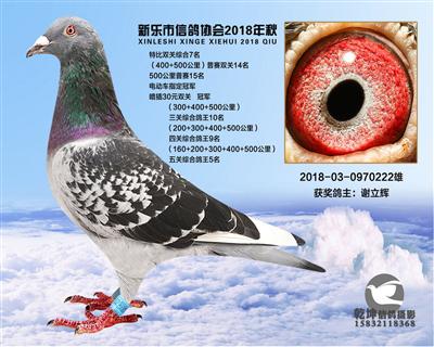 特比综合7名