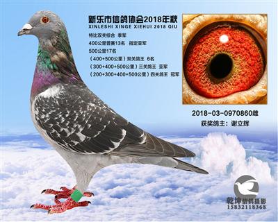 特比综合季军