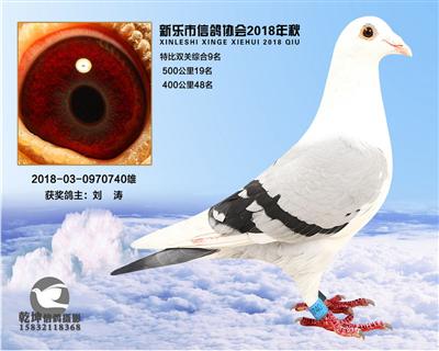 特比综合9名