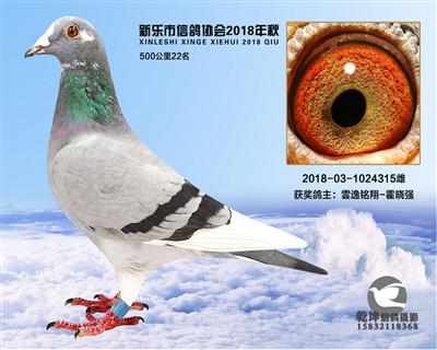 500公里22名