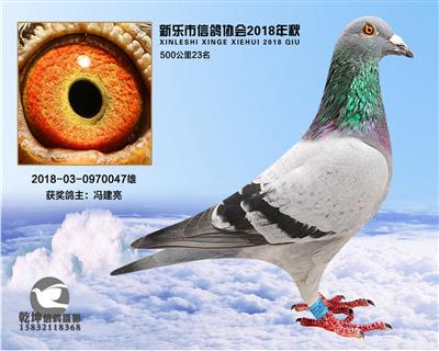 500公里23名