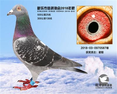 500公里25名