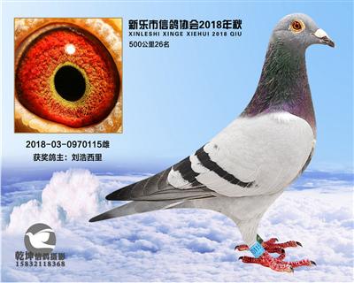 500公里26名