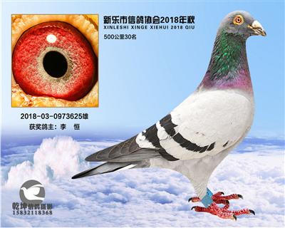 500公里30名