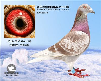 500公里32名