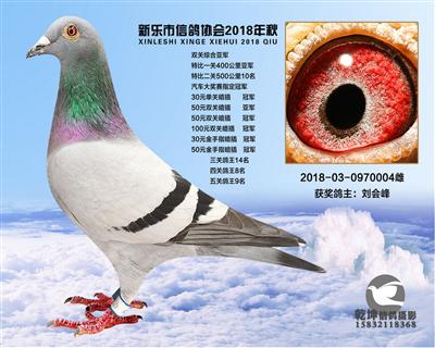 特比综合10名