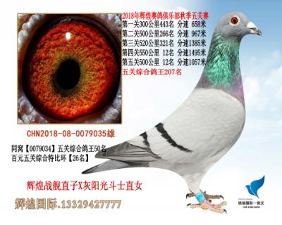 550公里12名