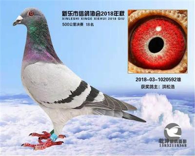 500公里18名