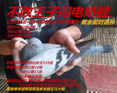 黄金配对孙代