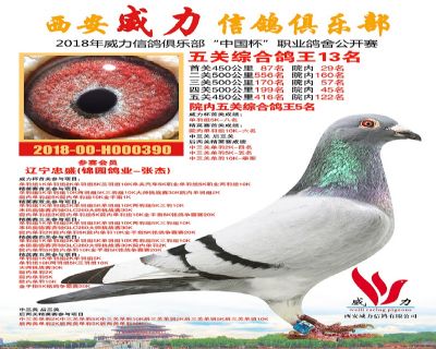 威力俱乐部鸽王13名