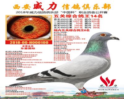 威力俱乐部鸽王14名