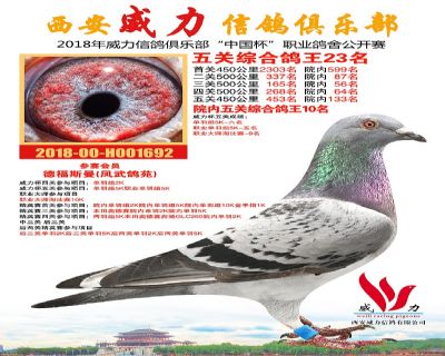 威力俱乐部鸽王23名