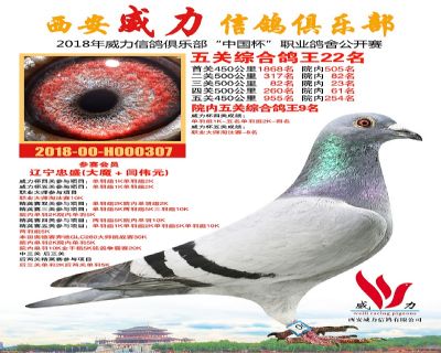 威力俱乐部鸽王22名