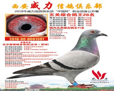 威力俱乐部鸽王26名