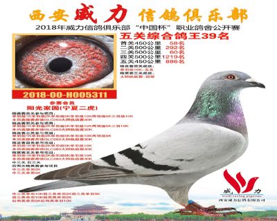 威力俱乐部鸽王39名