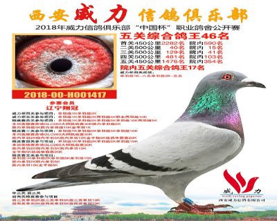 威力俱乐部鸽王46名