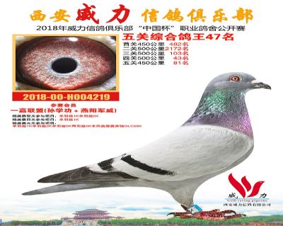 威力俱乐部鸽王47名