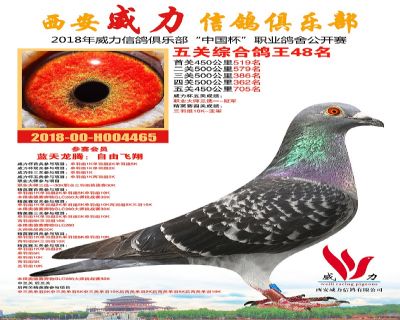 威力俱乐部鸽王48名