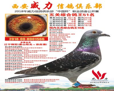 威力俱乐部鸽王51名