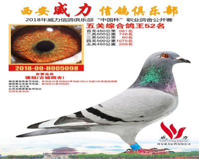 威力俱乐部鸽王52名