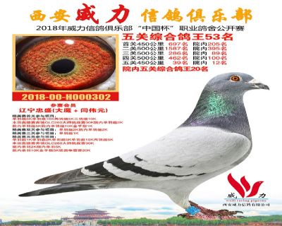 威力俱乐部鸽王53名