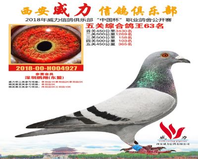 威力俱乐部鸽王63名