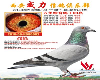 威力俱乐部鸽王69名