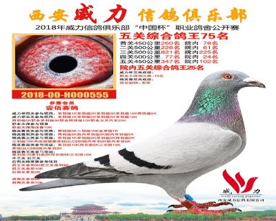 威力俱乐部鸽王75名