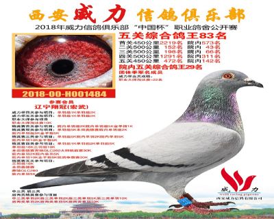 威力俱乐部鸽王83名