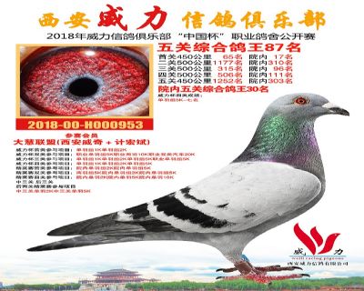 威力俱乐部鸽王87名