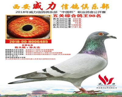 威力俱乐部鸽王98名