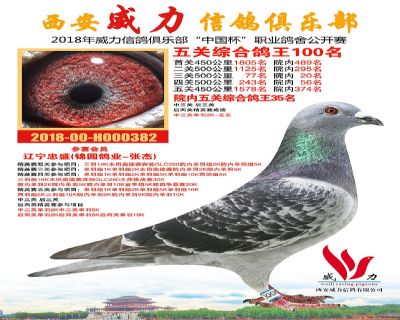 威力俱乐部鸽王100名
