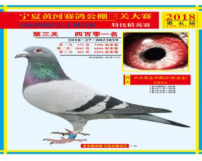 宁夏黄河决赛401名