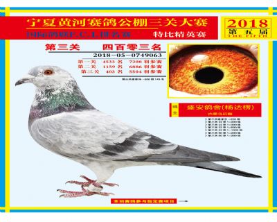 宁夏黄河决赛403名