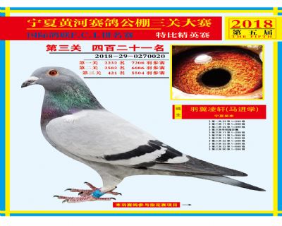 宁夏黄河决赛421名