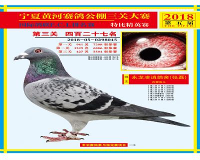 宁夏黄河决赛427名