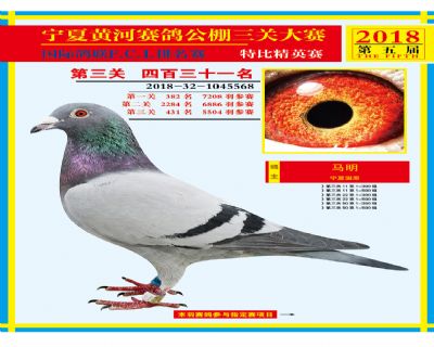 宁夏黄河决赛431名