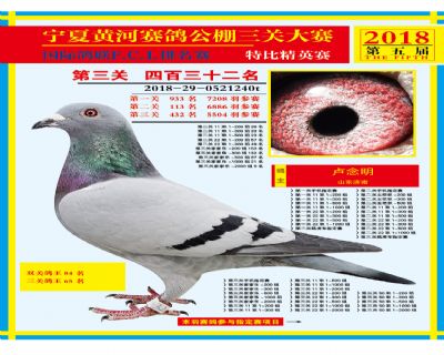 宁夏黄河决赛432名