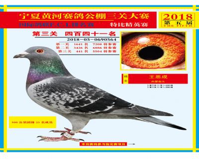 宁夏黄河决赛441名