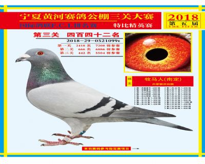 宁夏黄河决赛442名