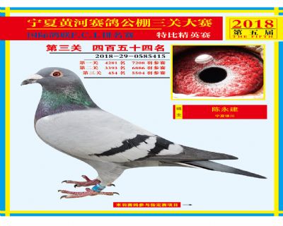 宁夏黄河决赛454名