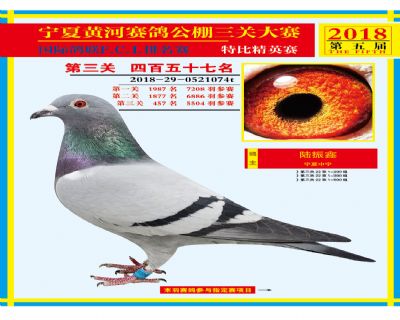 宁夏黄河决赛457名