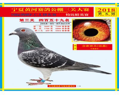 宁夏黄河决赛459名