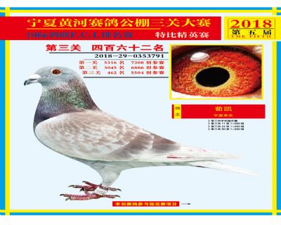 宁夏黄河决赛462名