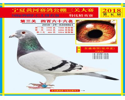 宁夏黄河决赛466名
