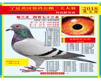 宁夏黄河决赛473名