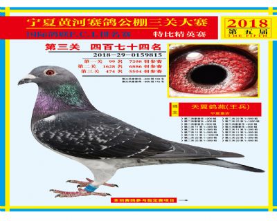 宁夏黄河决赛474名