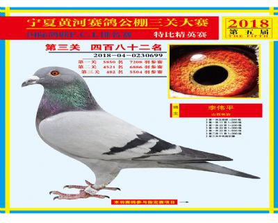 宁夏黄河决赛482名