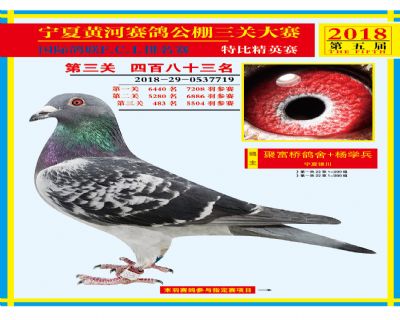 宁夏黄河决赛483名